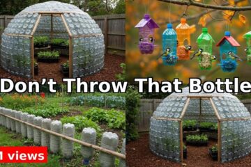 From Trash to Treasure!? 😱 18 Recycled Bottle DIYs for Your Backyard & Garden You Won’t Believe!