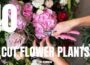 10 Essential Plants For a Cut Flower Garden