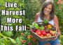LIVE: Fresh Fall Garden Secrets to Keep Harvesting Longer (REPLAY)