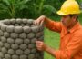 Top Creative Ideas from Iron Mesh and Cement /