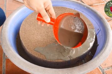 The Art of Working with Cement at Home / DIY Mini Aquarium for Landscape Decoration /