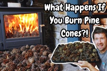 Burning Pine Cones in a Fireplace… The Results Are INSANE!