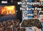 Burning Pine Cones in a Fireplace… The Results Are INSANE!