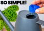 NEVER Water Your Plant Without THIS!
