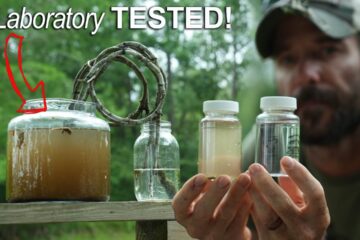 Newly Discovered PRIMITIVE WATER FILTER! 100% Effective