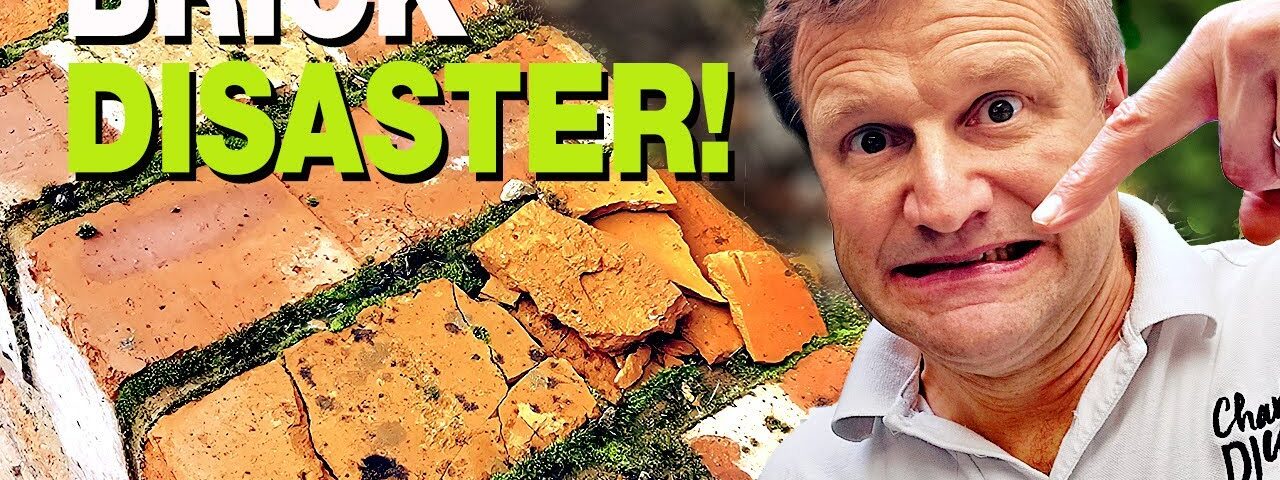 Saving My Garden Bricks From Disaster (Waterproofing & Moss Kill)
