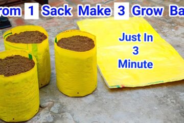 Make Grow Bag Easy at Home For Gardening / How To Make Grow Bag / Grow Bag Making Ideas Make Grow Bag Easy at Home For Gardening / How To Make Grow Bag / Grow Bag Making Ideas