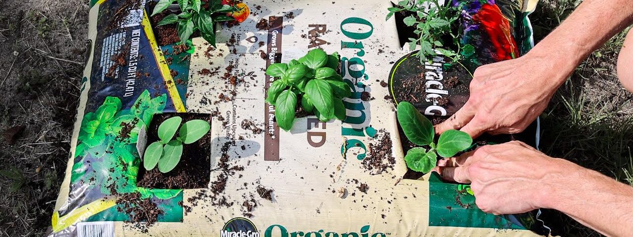 What Happens When You Plant a WHOLE GARDEN in Just ONE BAG of Soil?