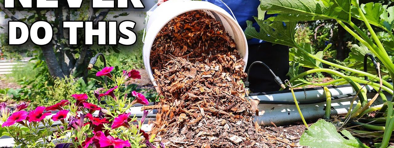They Say NOT to do this… but does it work? (the truth about wood chips)