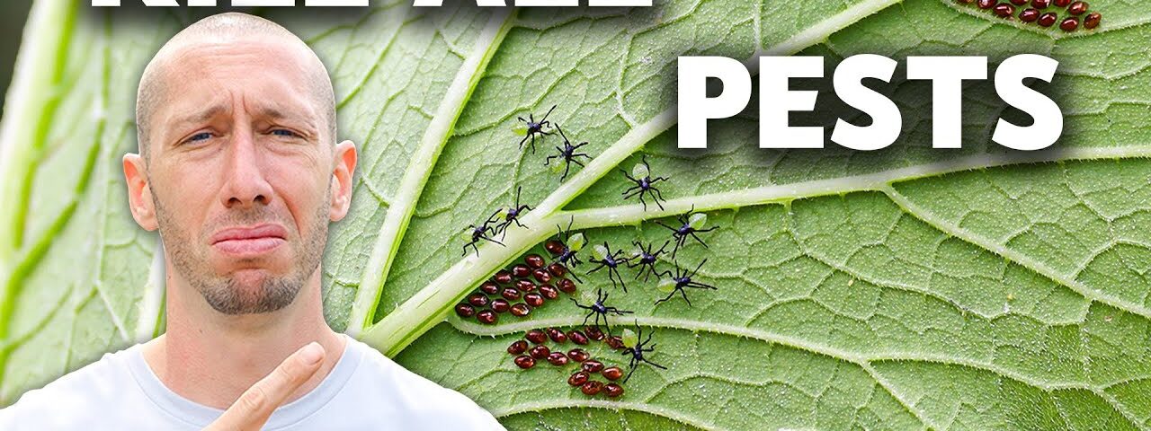 How to Eliminate ALL Pests in the Garden (NO MERCY)