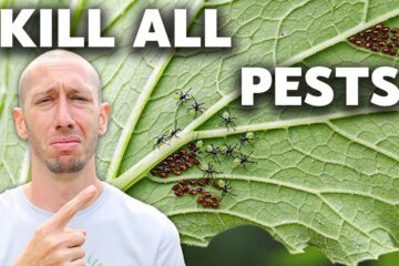 How to Eliminate ALL Pests in the Garden (NO MERCY)