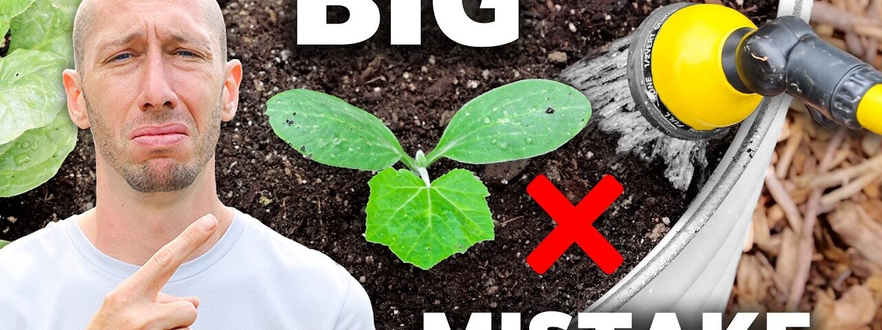 This Technique of Watering the Garden Will Change Your Life!