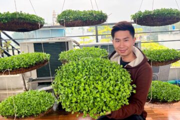 No Soil Needed: Grow Microgreens Super Easily with Just Coconut Fiber and Water!