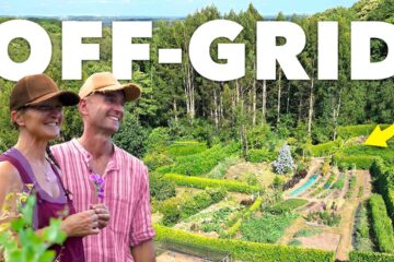 They Bought an Abandoned Plot and Grew THIS (80% Self-Sufficient)