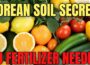 The Korean Soil Hack Big Fertilizer Fears — Make Supercharged IMO Right at Home!”