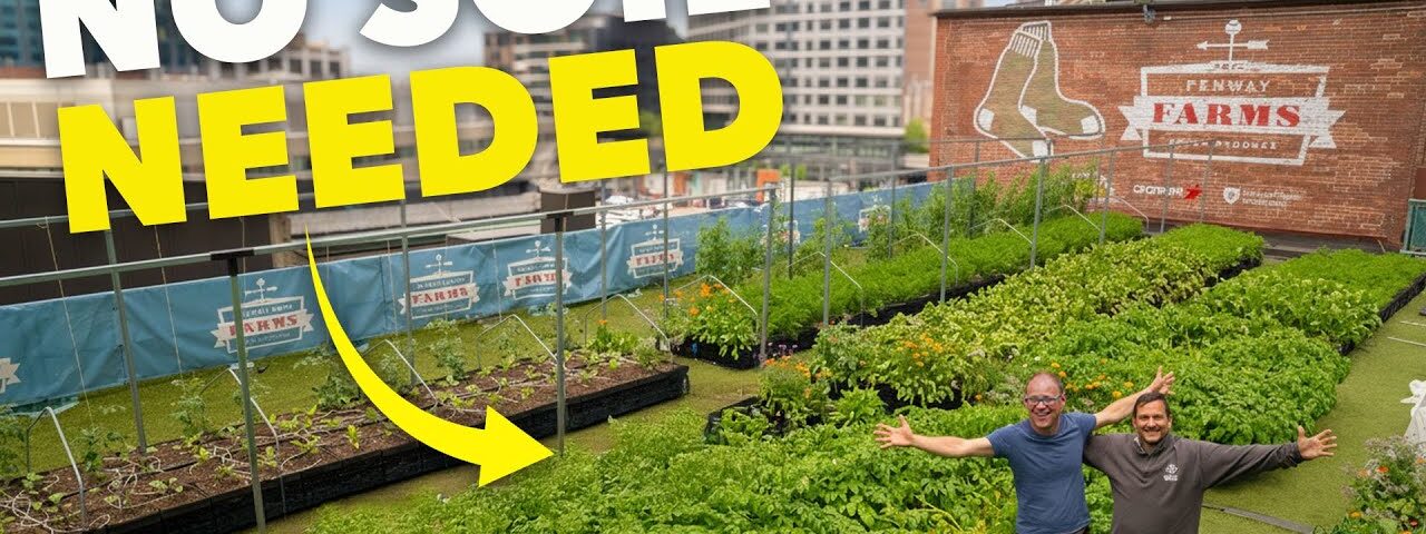 How He Grows 3 Tonnes of Food in Milk Crates (Rooftop Garden!)